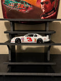 Dale Earnhardt Jr