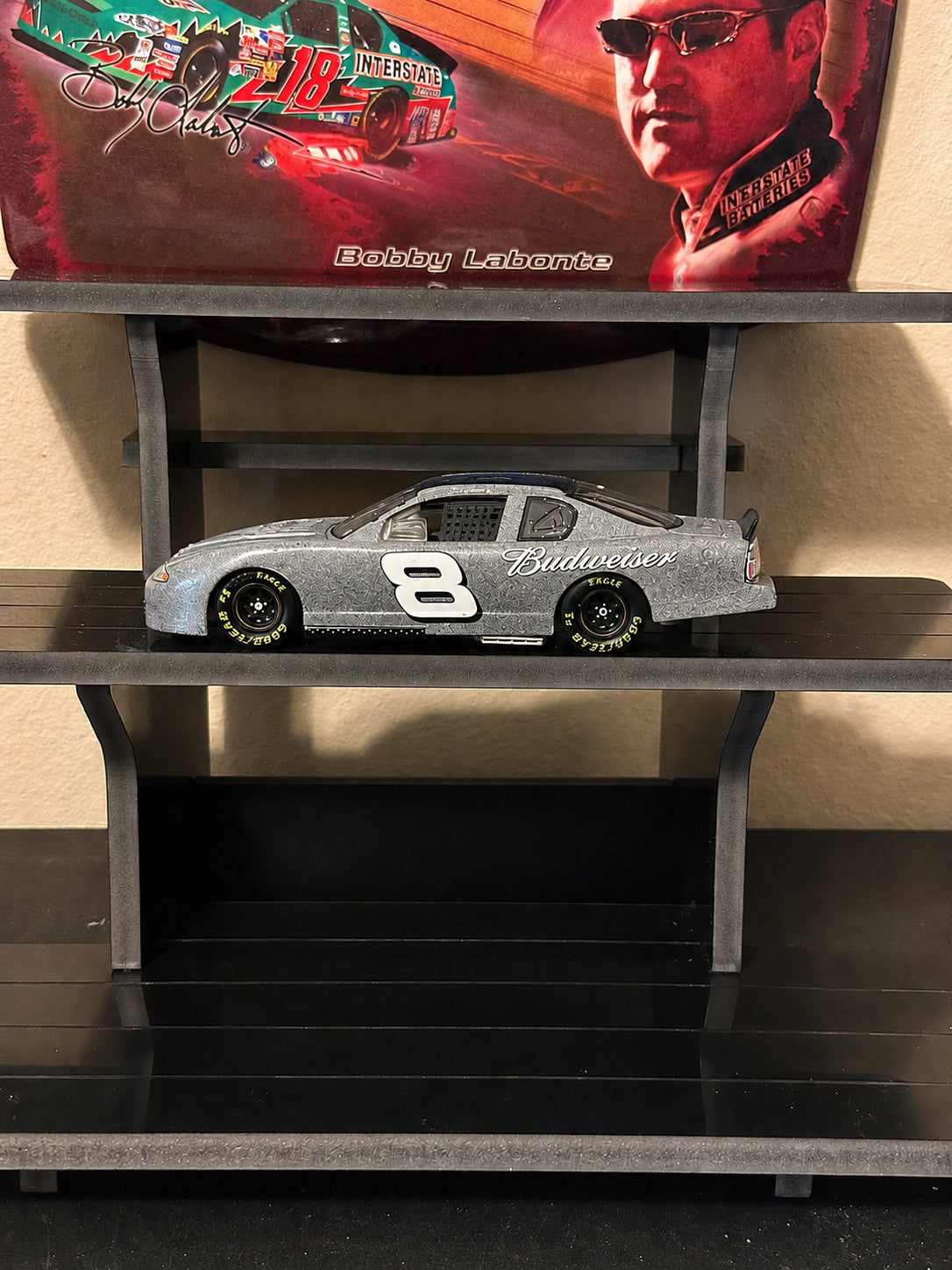 Dale Earnhardt Jr