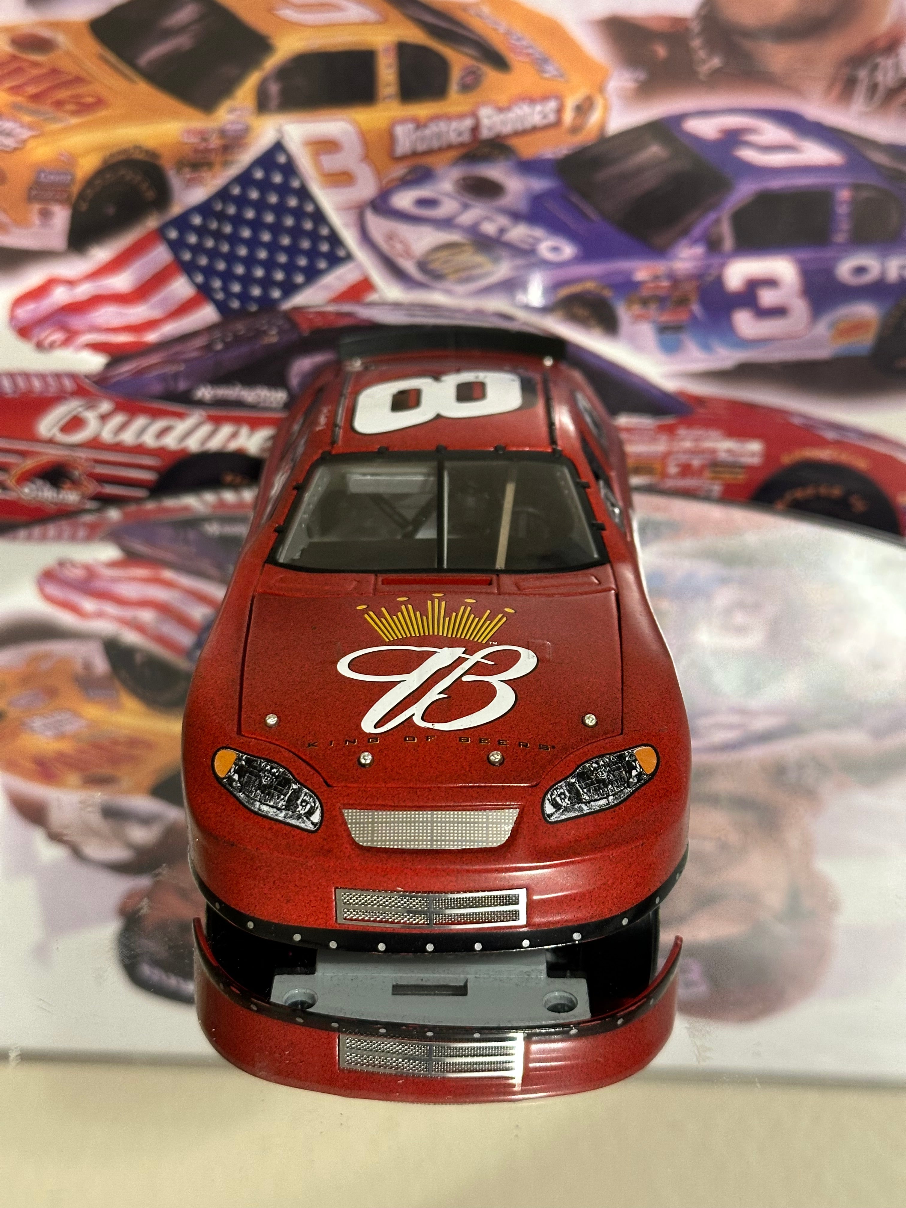 Dale Earnhardt Jr