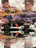 Dale Earnhardt Jr