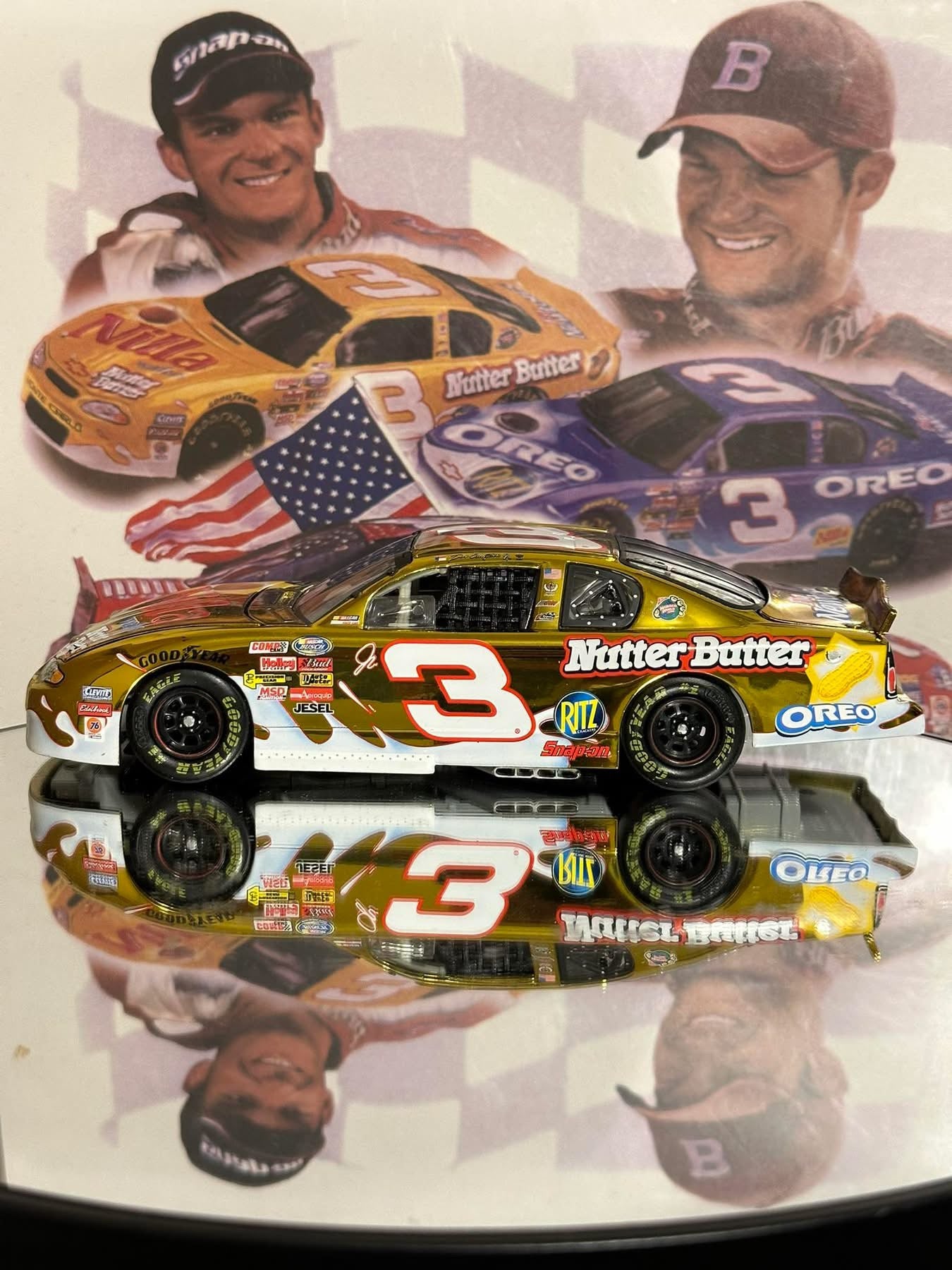 Dale Earnhardt Jr