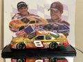 Dale Earnhardt Jr