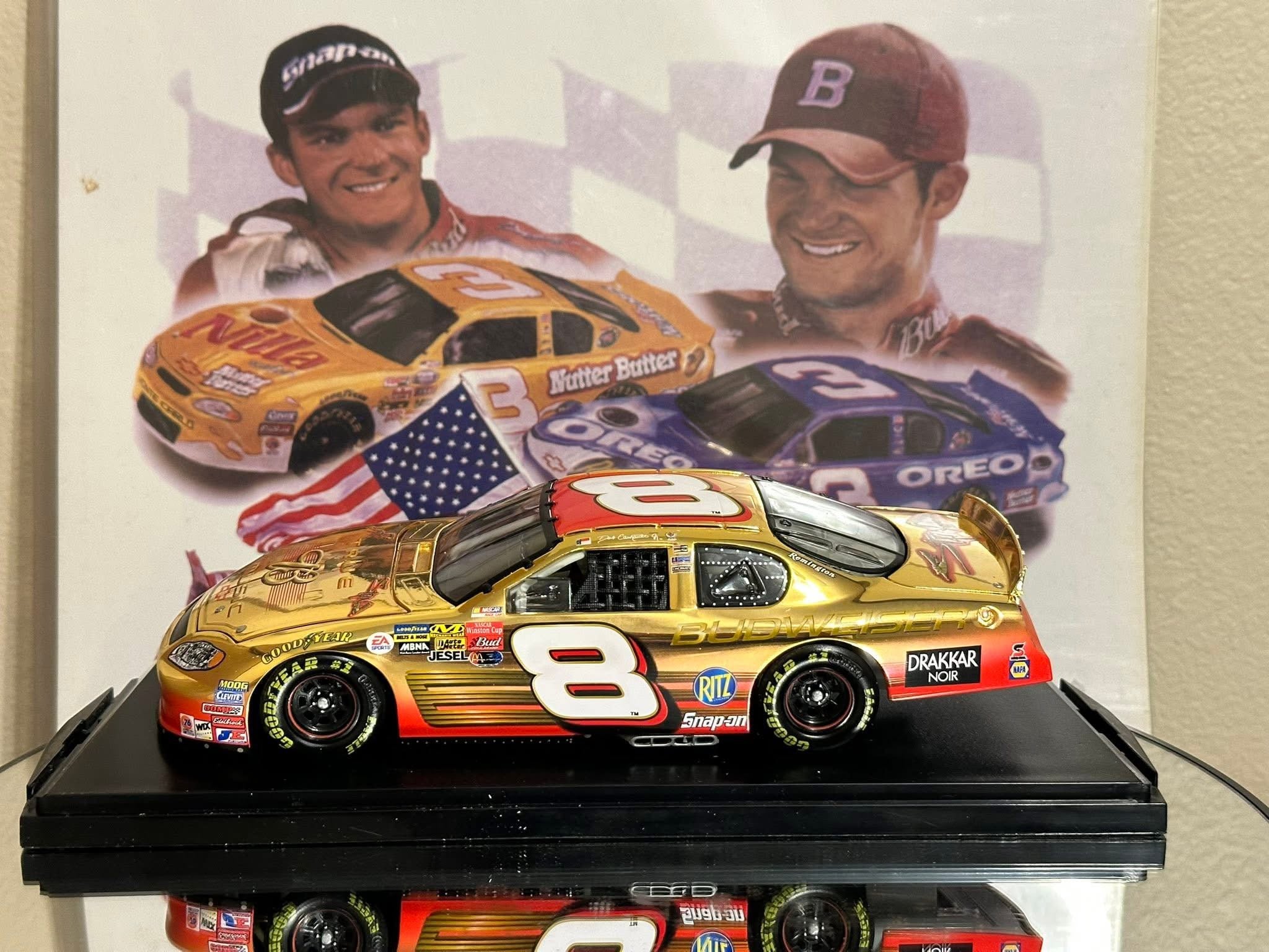 Dale Earnhardt Jr