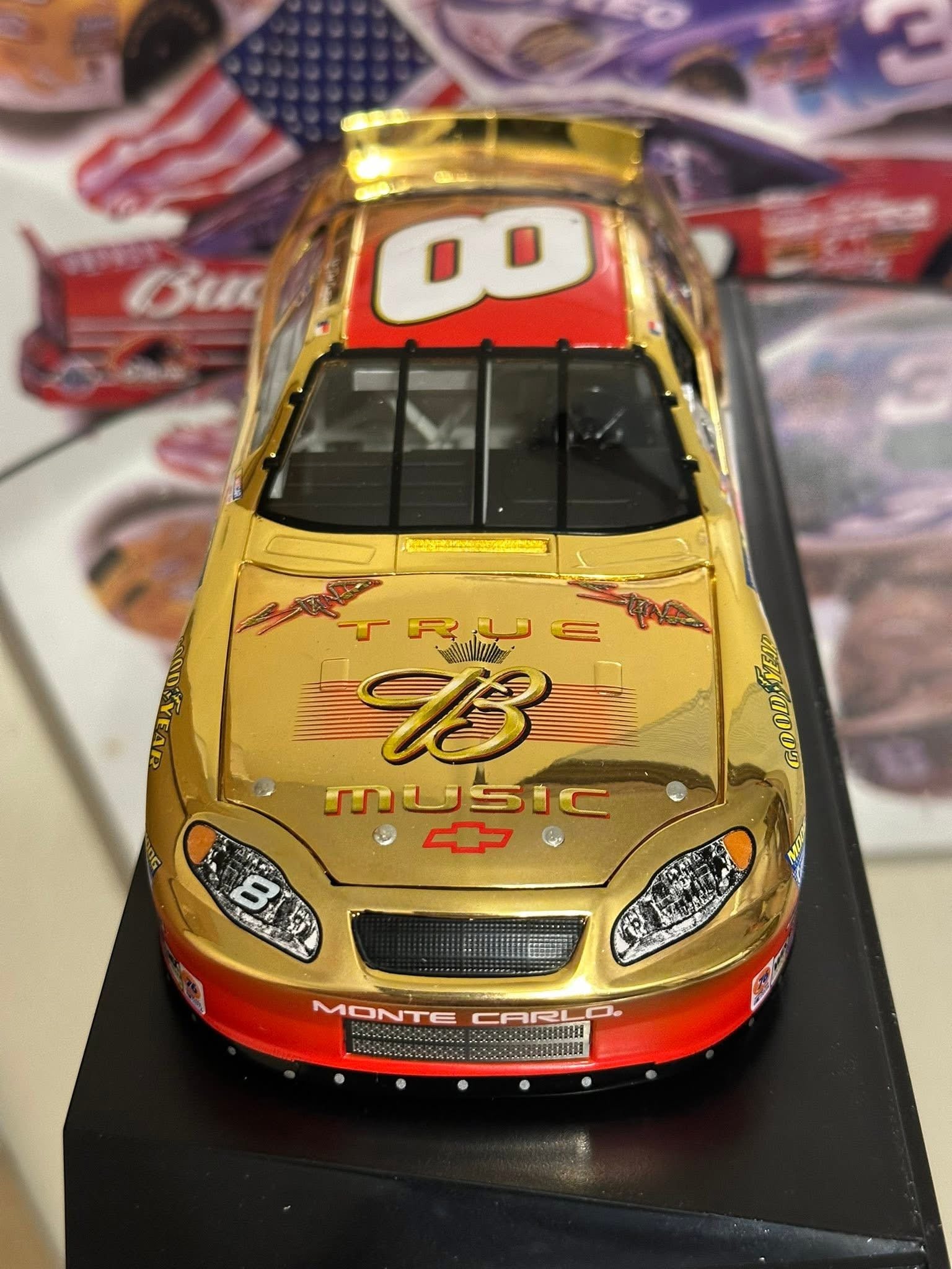 Dale Earnhardt Jr