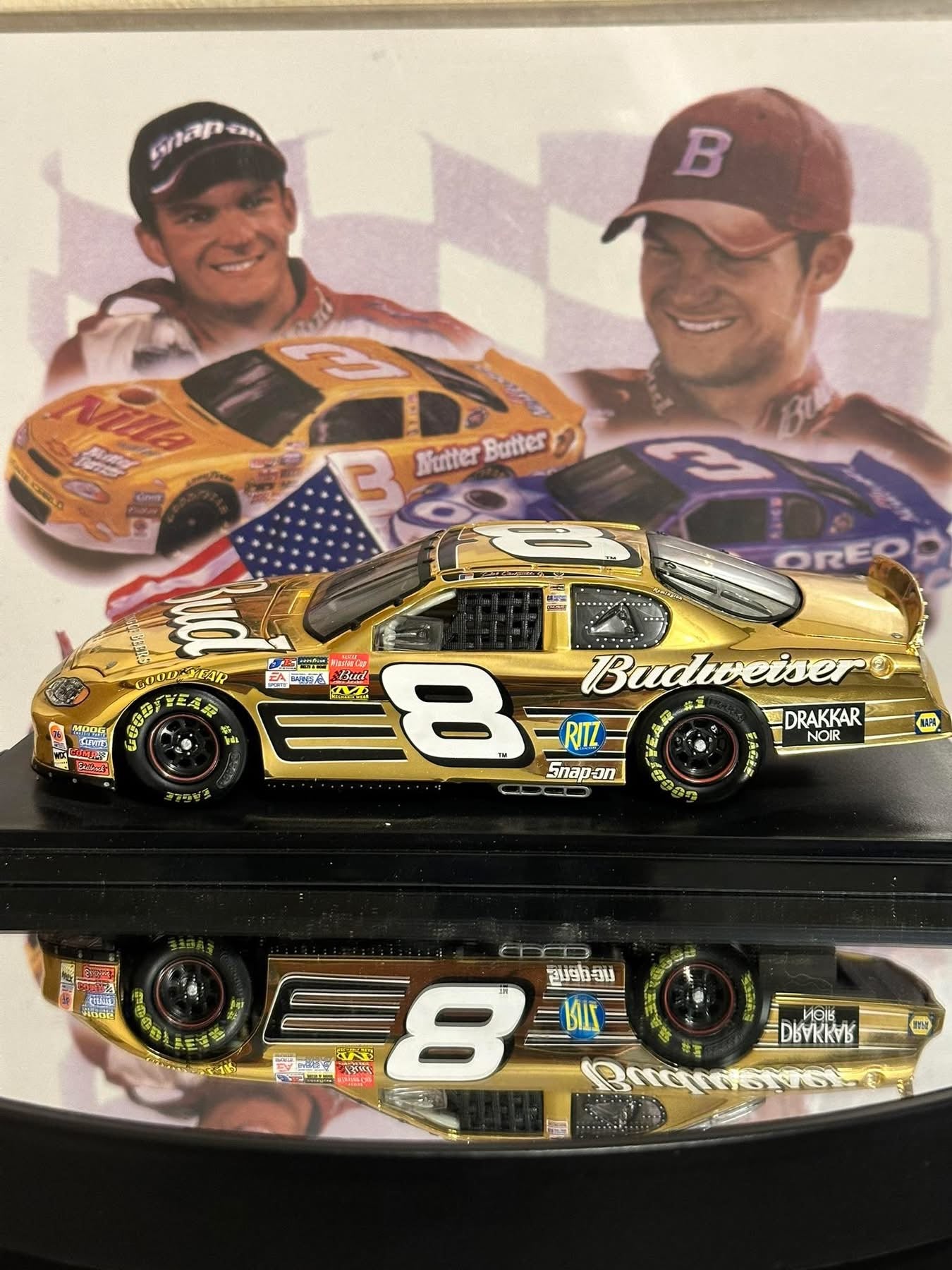 Dale Earnhardt Jr