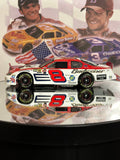 Dale Earnhardt Jr
