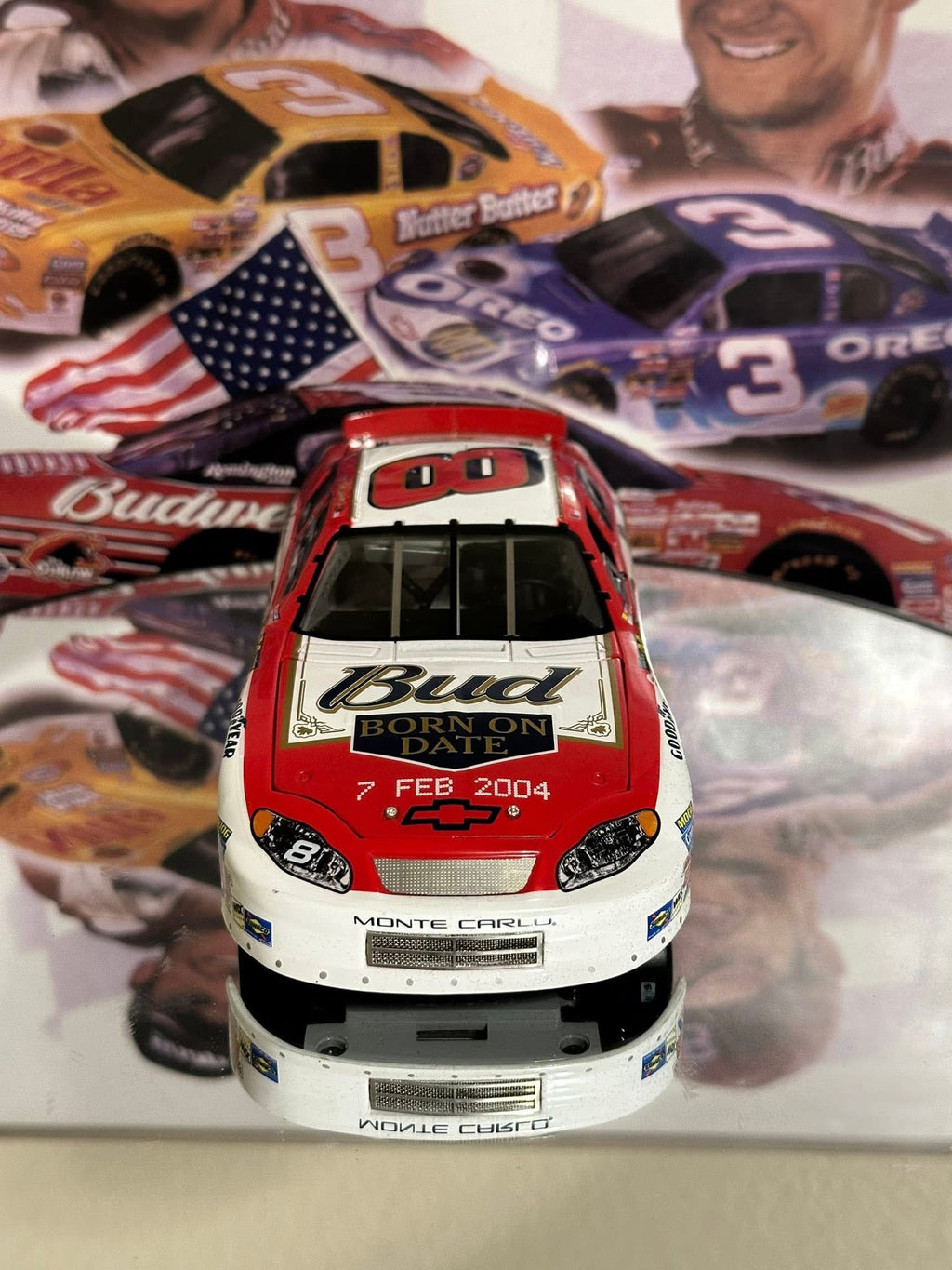 Dale Earnhardt Jr
