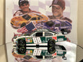Dale Earnhardt Jr